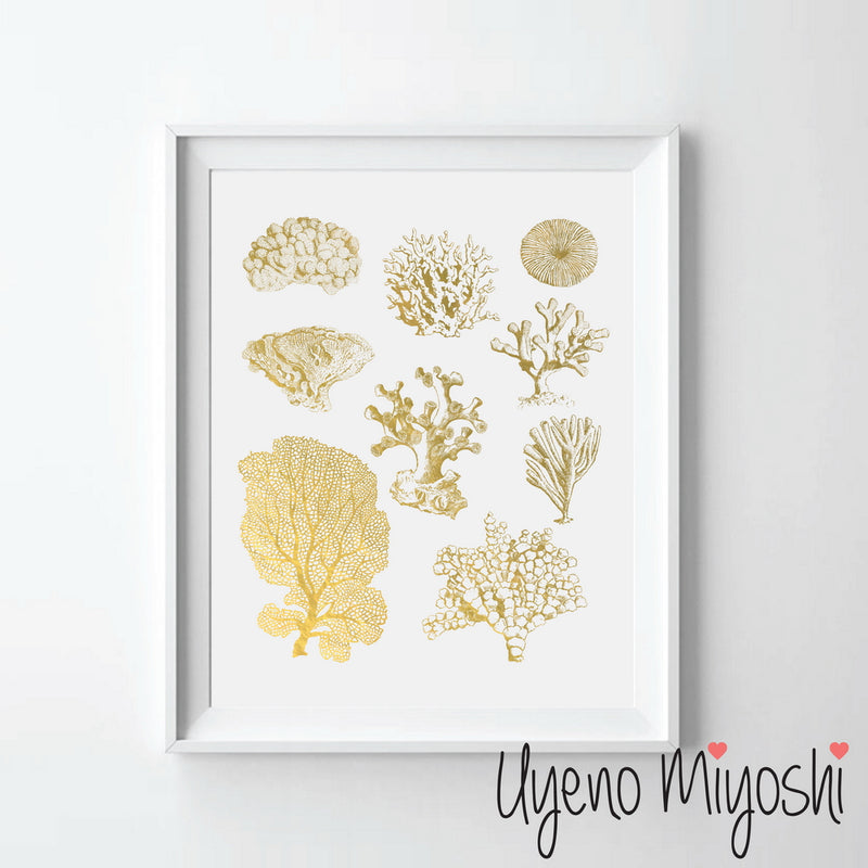 Sea Coral Combo I