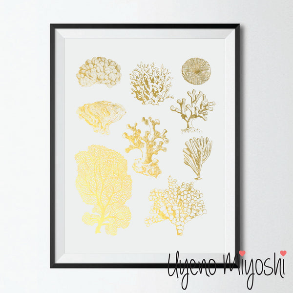 Sea Coral Combo I