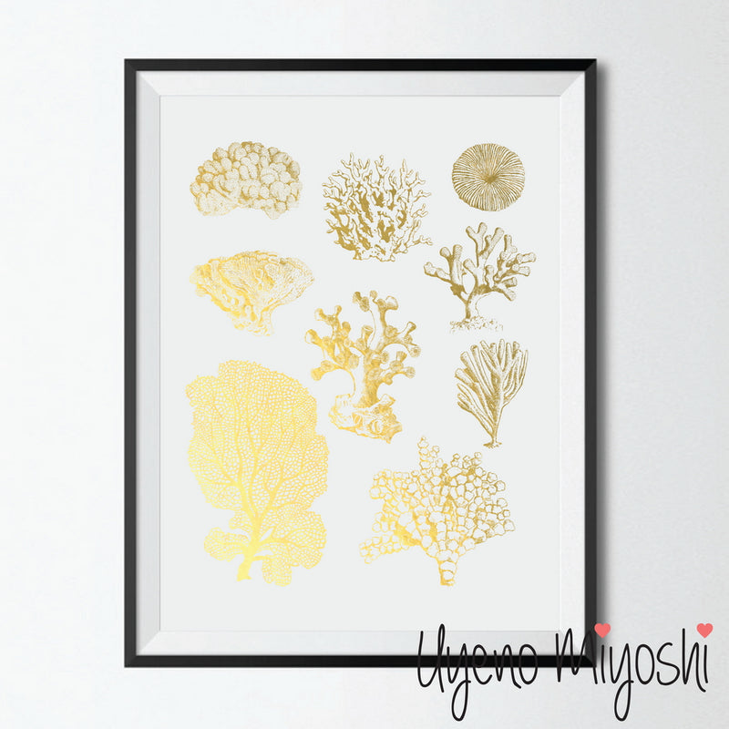 Sea Coral Combo I