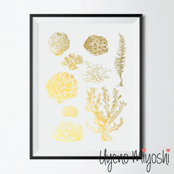 Sea Coral Combo II