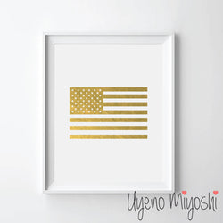 USA Flag
