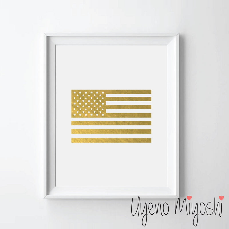 USA Flag