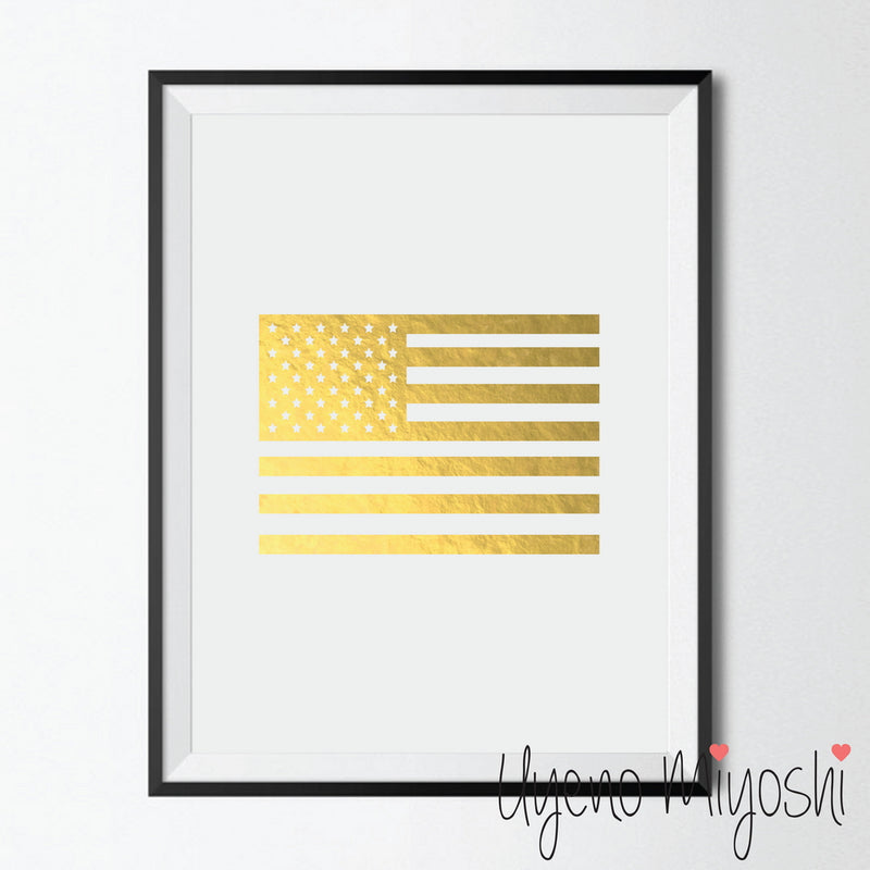 USA Flag