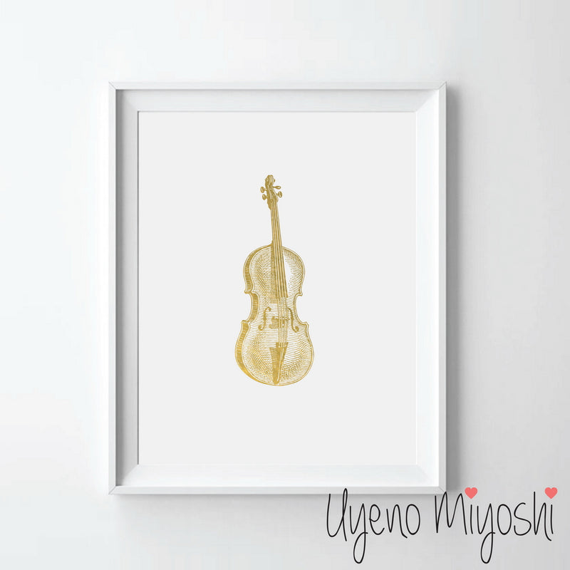 Violin