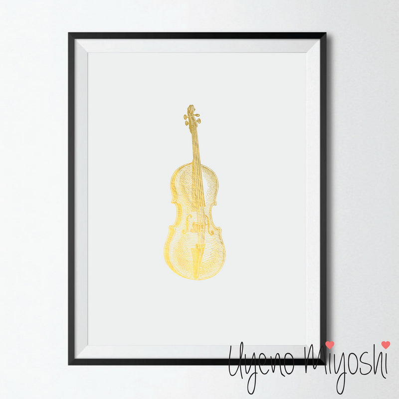 Violin