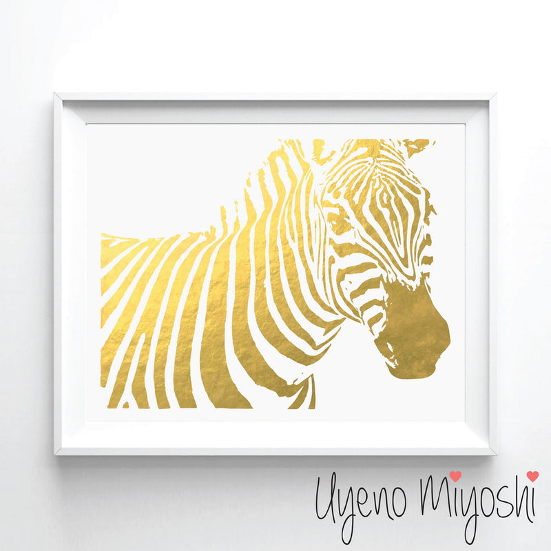 Zebra Portrait
